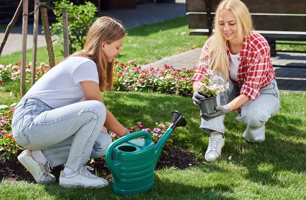 Pflanzungen Mutter Gartenbau